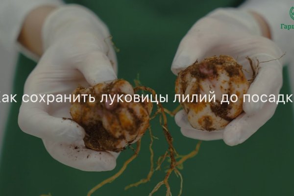 Кракен сайт официальный kraken clear com